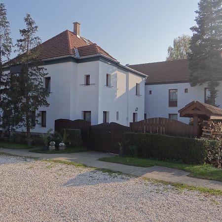 Bed and Breakfast Hollo Panzio à Visegrád Extérieur photo